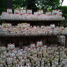 いっぱいいます