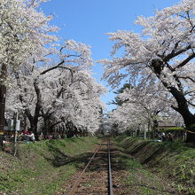 駅舎を過ぎたところの踏切