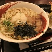 海老おろしうどん 