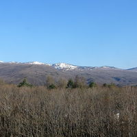 十和田八幡平国立公園