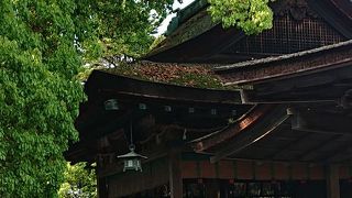 御本宮向かいに