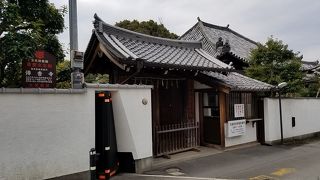 重要文化財と散り椿