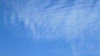 鳥居が目立つ伊和都比売神社