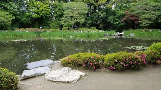 平安神宮 南神苑