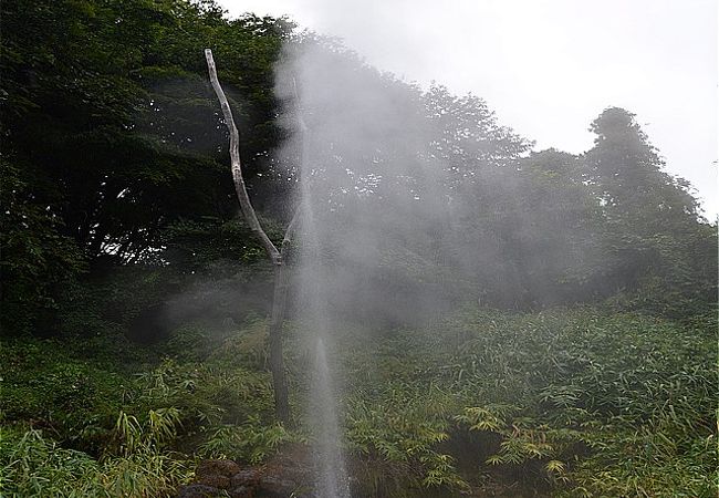 鬼首かんけつ泉 弁天 雲竜 クチコミ アクセス 営業時間 鬼首 おにこうべ 温泉 フォートラベル