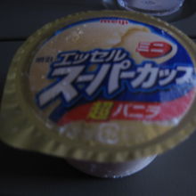 デザートにアイスが出たのは良かった。