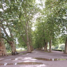 雨で水たまりができちゃいました