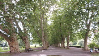 プラターネンアレー