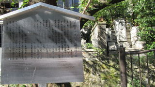 激動の幕末期を生き抜き命を落としました