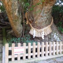 このような感じ。