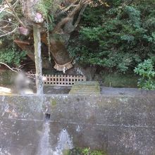 川の脇のこのような場所