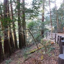 奥に展望台あります。