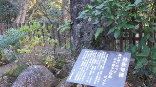 松尾芭蕉って、九州に来たのかな？たしか途中大垣で病死したはず。