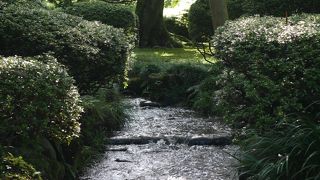 兼六園内を流れる川