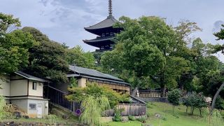 奈良 興福寺五重塔と合わせるフォトスポット