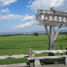 撮影スポットです