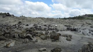 ゲートより先は立ち寄り禁止