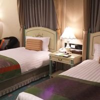 広い造りの客室です