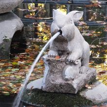 池にもうさぎ。マーライオンのよう。