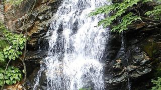 五龍王神社境内付近にある滝
