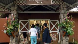 トロピカルファームマカダミアナッツアウトレット