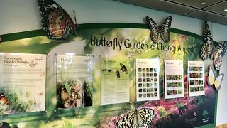 バタフライガーデン