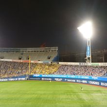 阪神応援席、少ないけど超元気でした！