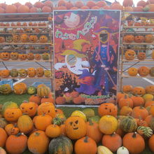 カボチャに囲まれての記念撮影は如何？（和寒駅傍で楽しめます）