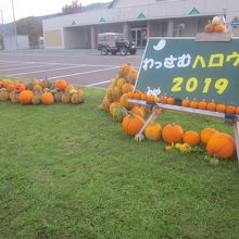 並び始めの時期はこんな感じです