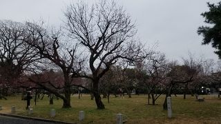 京都御所と仙洞御所に梅園など