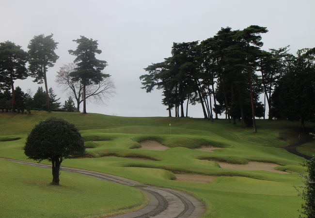ニュー セントアンドリュース ゴルフクラブ ジャパン