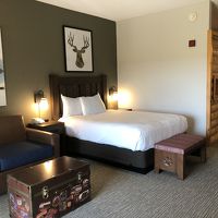 クイーンサイズベッドとベッドにもなるカウチ