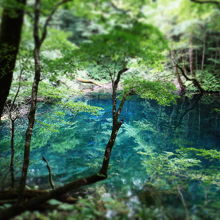 沸壺の池