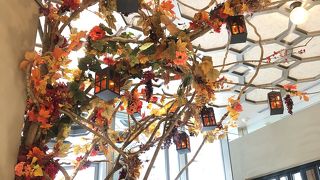 秋らしくなっていました。