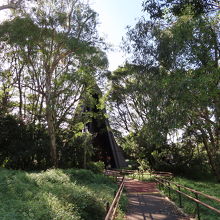 森の中みたいになってます