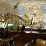 紙幣と恐竜の博物館