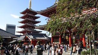 創建時より身長が伸びました