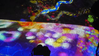 チームラボで秋を感じてきました