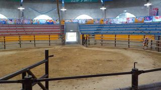 闘牛場って初めて