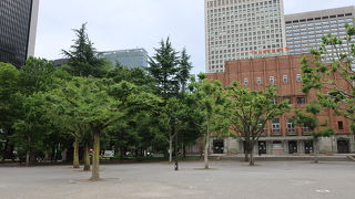 樹木の幹に直接触れることができる広場