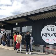 コシ強めの讃岐うどん