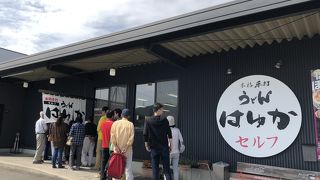 コシ強めの讃岐うどん