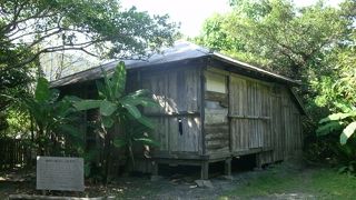 亜熱帯の植物に囲まれた静かな家