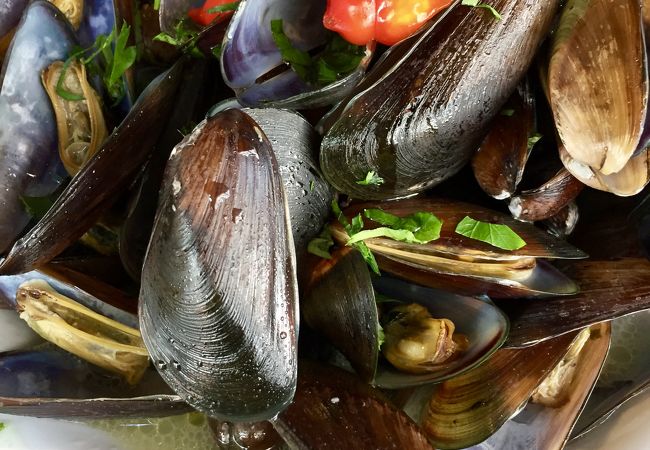 A Ostra Bebada - Bar e Cozinha