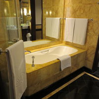 大きなバスタブとシャワー室があります