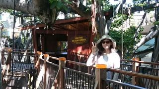 激変していました