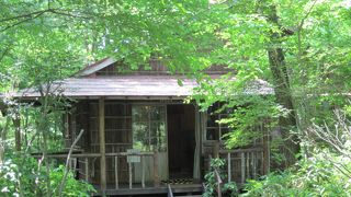 ミュージアムセット券で入館しました