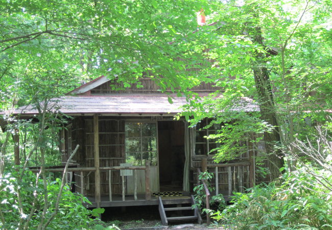 ミュージアムセット券で入館しました