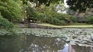 一番奥にあるけど一見の価値あり