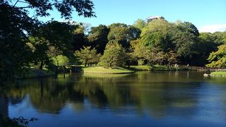 見所たくさん！